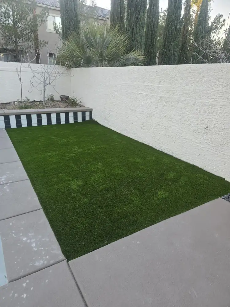 Backyard dog run with artificial turf