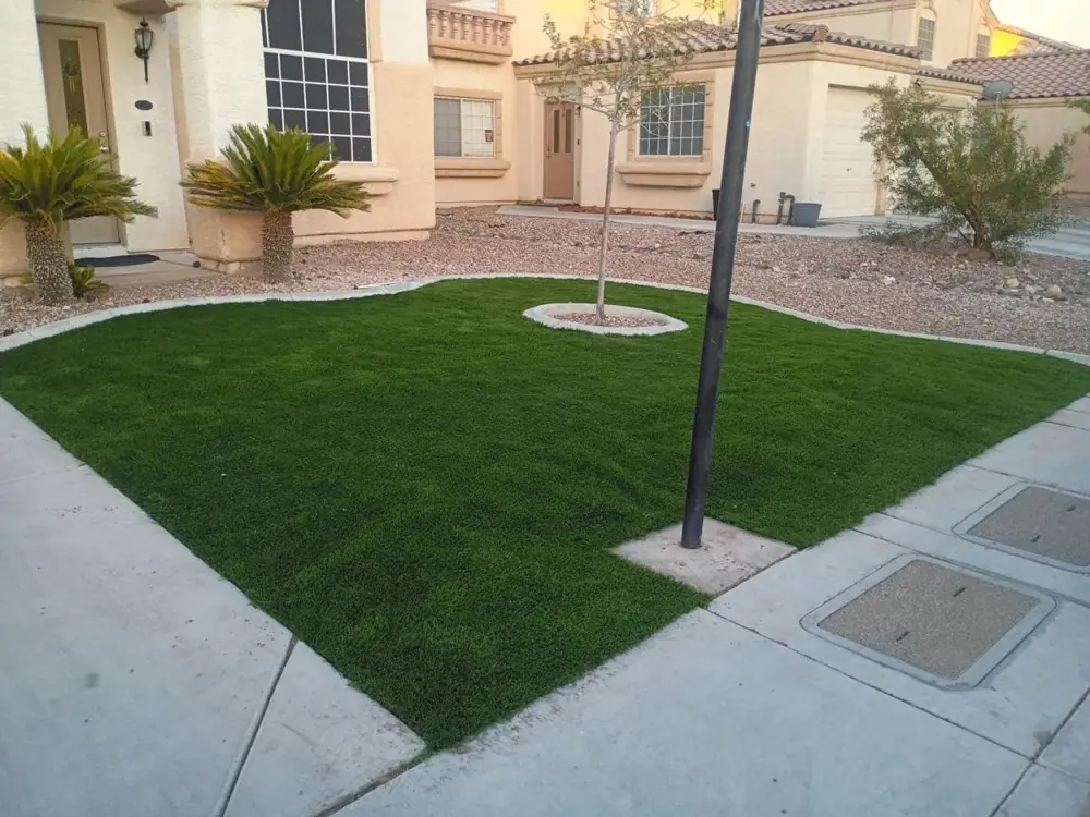 Front yard artificial turf with tree ring